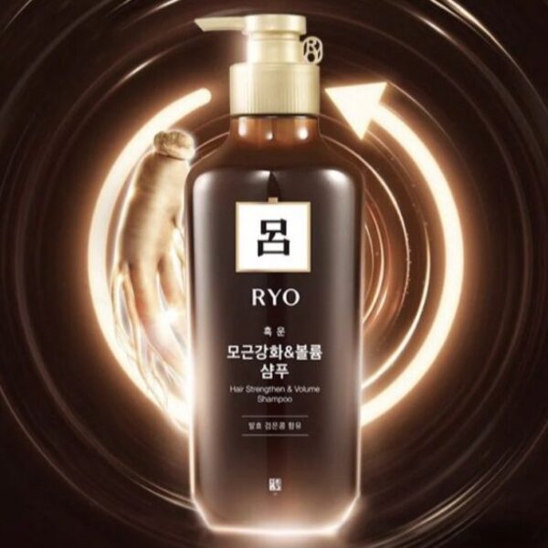 韓國RYO 呂 棕洗髮護髮系列