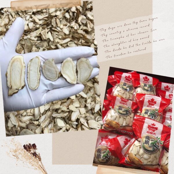 正宗5年大塊花旗參切片