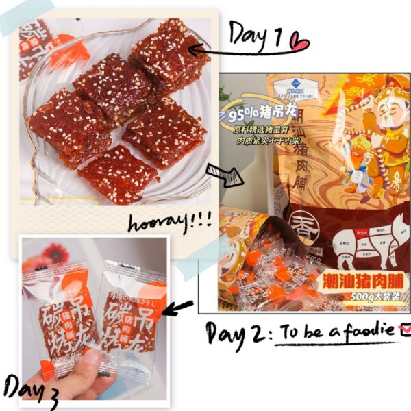 潮汕炭燒吊龍豬肉脯