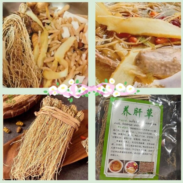 養肝草(龍鬚草)