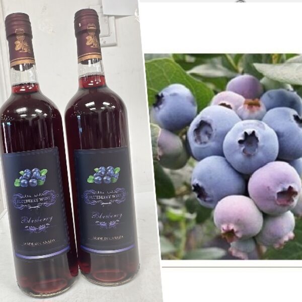 安省大瀑布酒莊特供藍莓酒