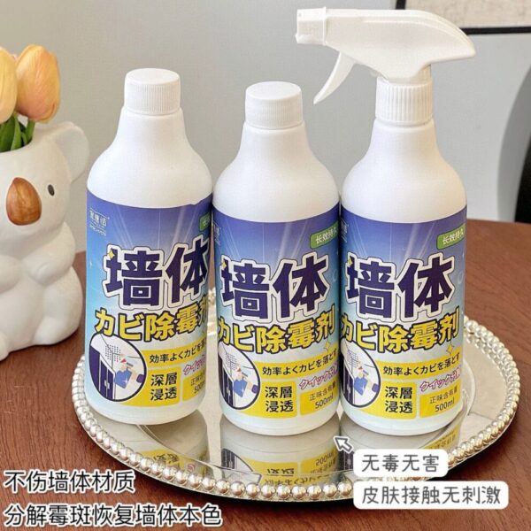 【新年特價】宜速潔牆體除霉清潔劑