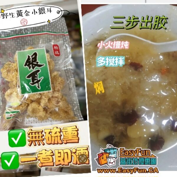 野生黃金小銀耳