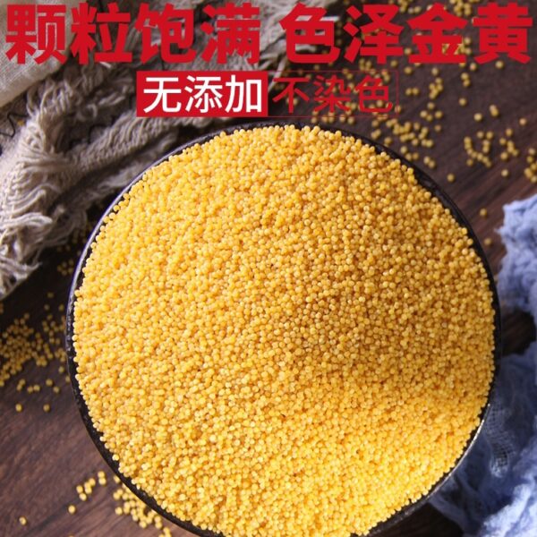 純有機小米