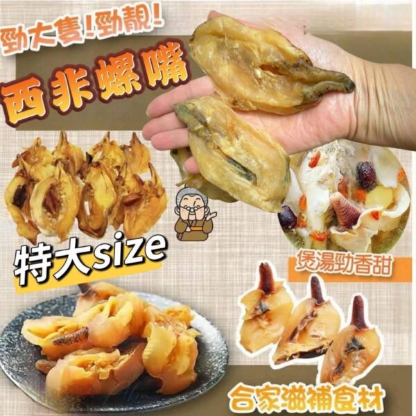 西非特大螺嘴王
