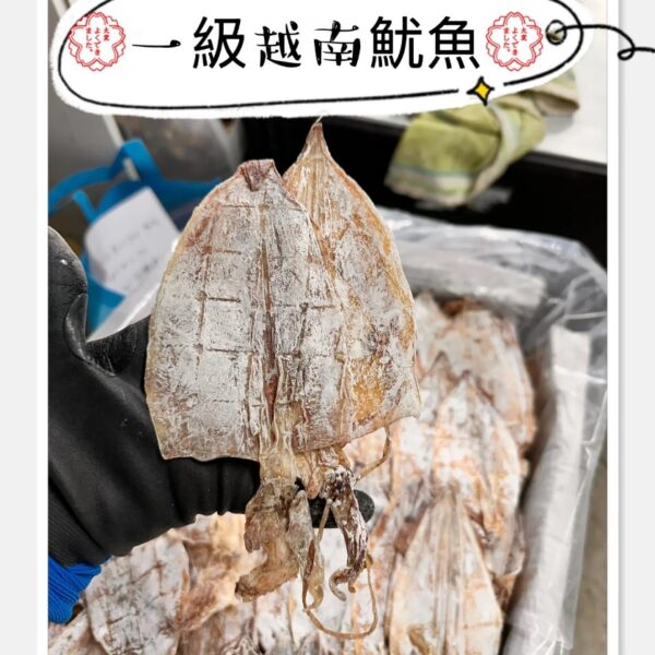 越南4A乾魷魚