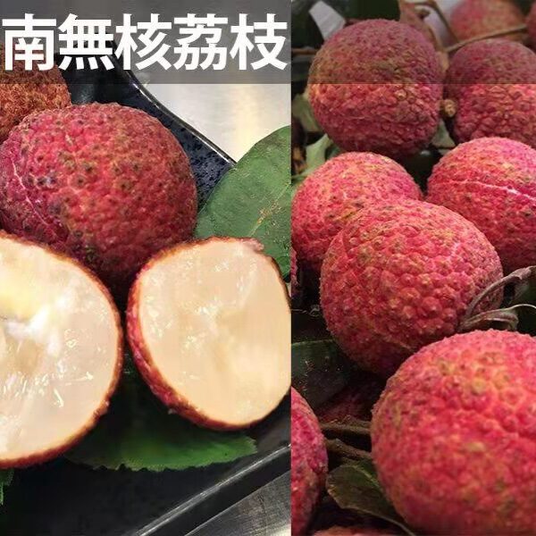 【買2送1】無核荔枝