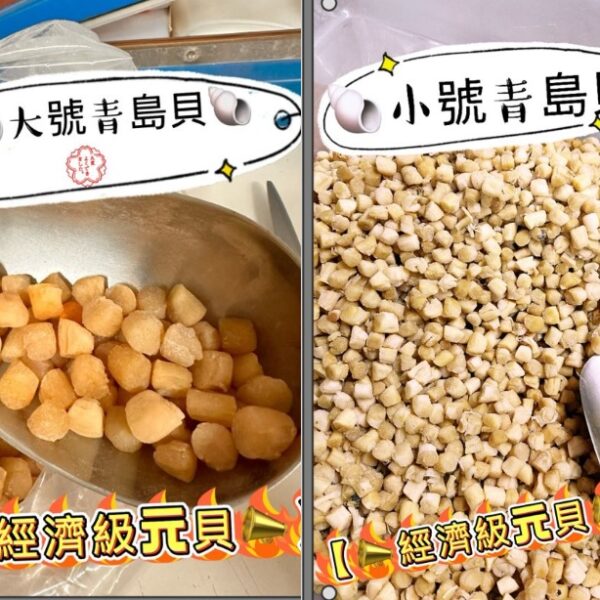 經濟級青島元貝