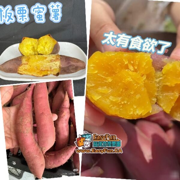 板栗蜜薯