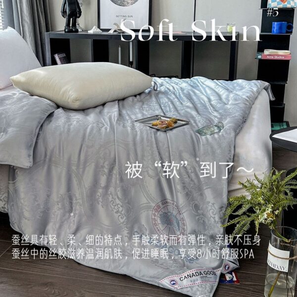 【供貨商讓利】大鵝天絲貢緞蠶絲被