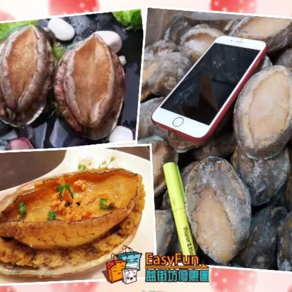 台灣特大吉品鮑魚