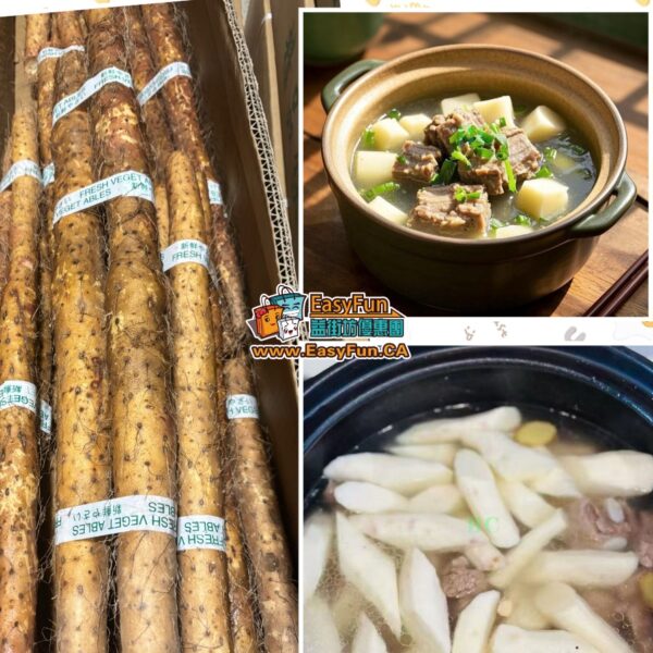 新鮮鐵棍山藥(淮山)