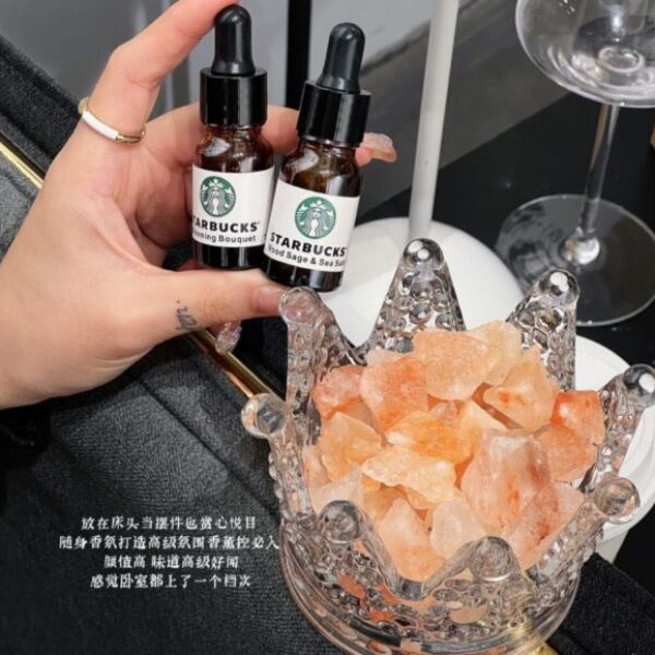 星巴克皇冠水晶石無火香薰