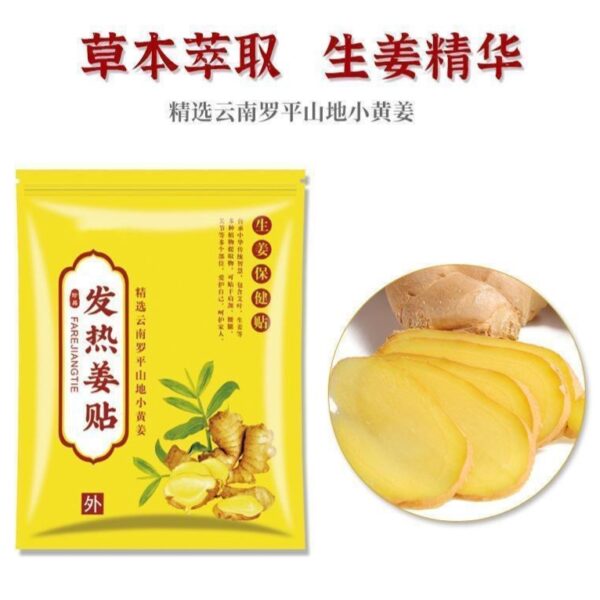 【買二送一】艾南山發熱姜貼