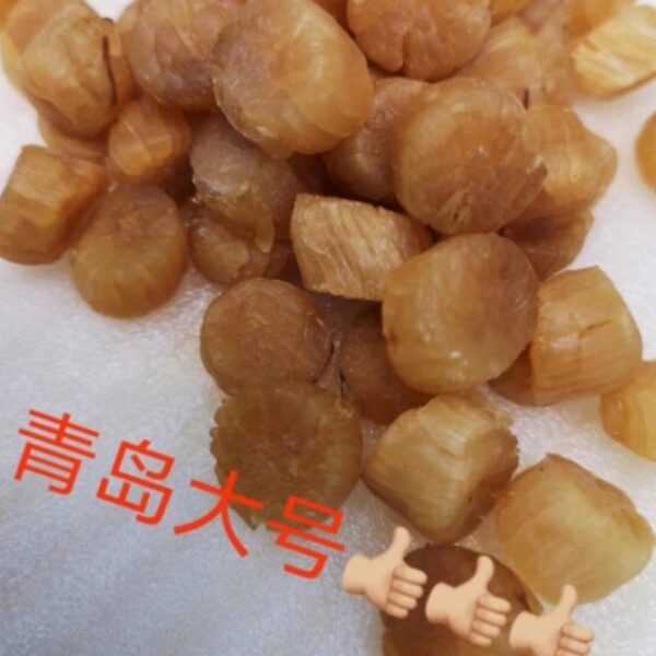 【史低價】正宗青島乾貝(大號)