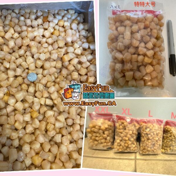 【限量特價】大連乾貝 (特特大號XXL Size)