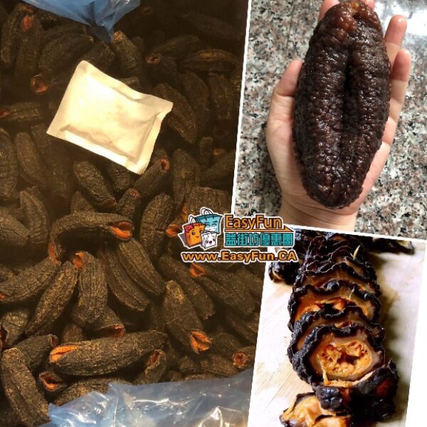 【新貨大特價】北極野生15-20頭特大號圓筒參