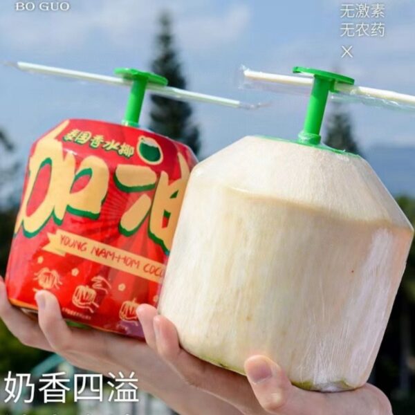 泰國進口香水椰懶人椰青