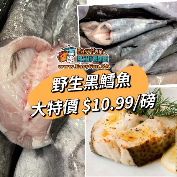 【大特價】野生黑鱈魚