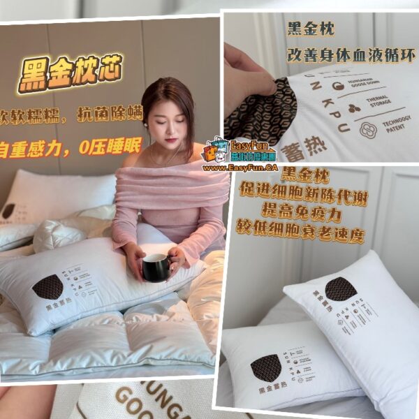 SUNKPU黑金蓄熱抗菌羽絲枕