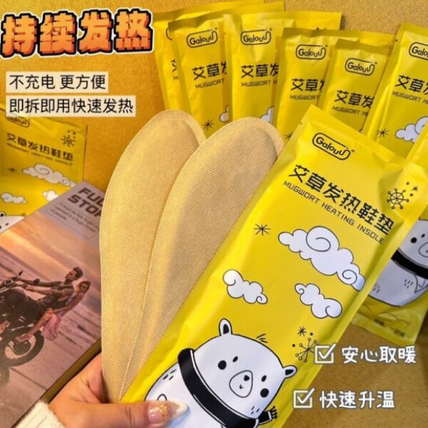 【買10送3】Galouu 艾草自發熱鞋墊