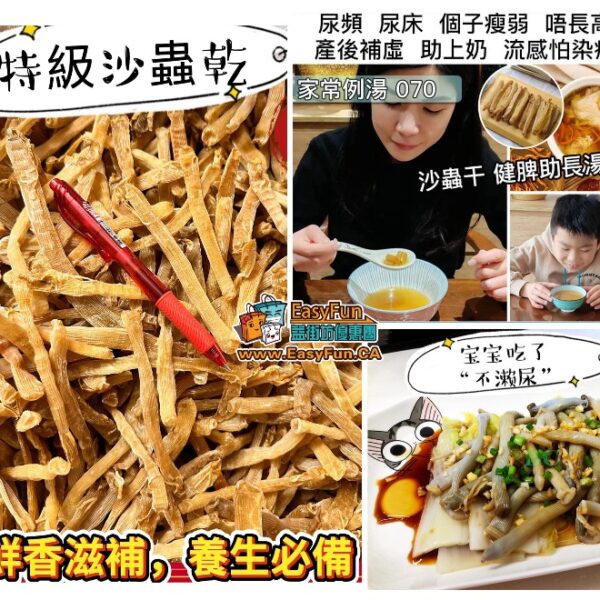 【滋陰補腎】特級沙蟲乾