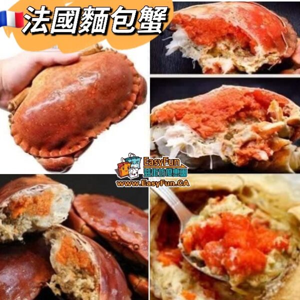 冰凍法國麵包蟹(法國膏蟹)