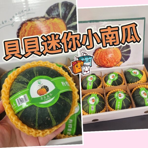 貝貝迷你小南瓜