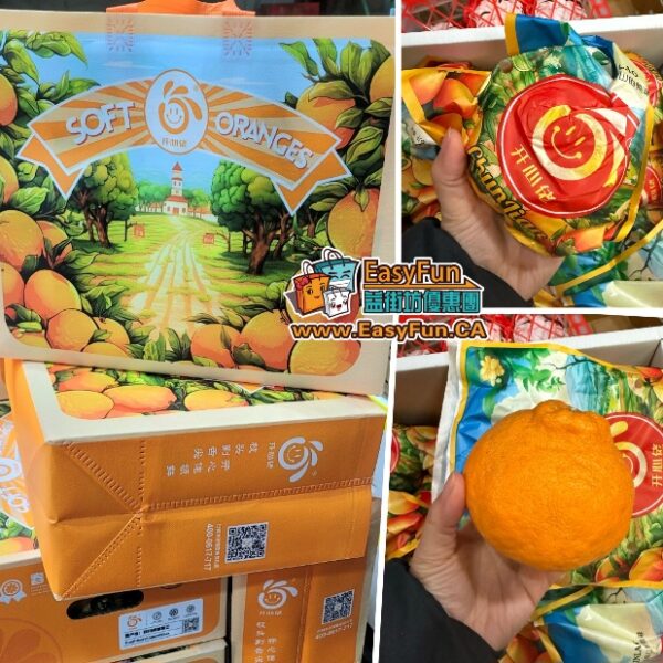 禮盒裝春見粑粑柑