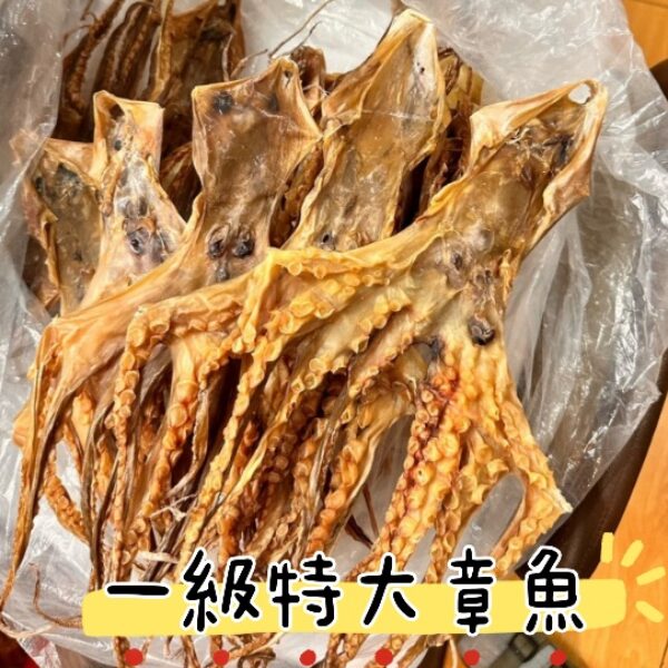 一級特大章魚