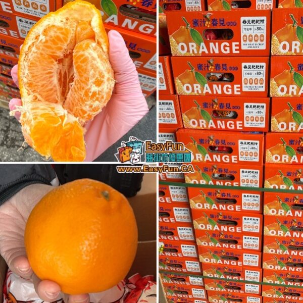 蜜汁春見粑粑柑