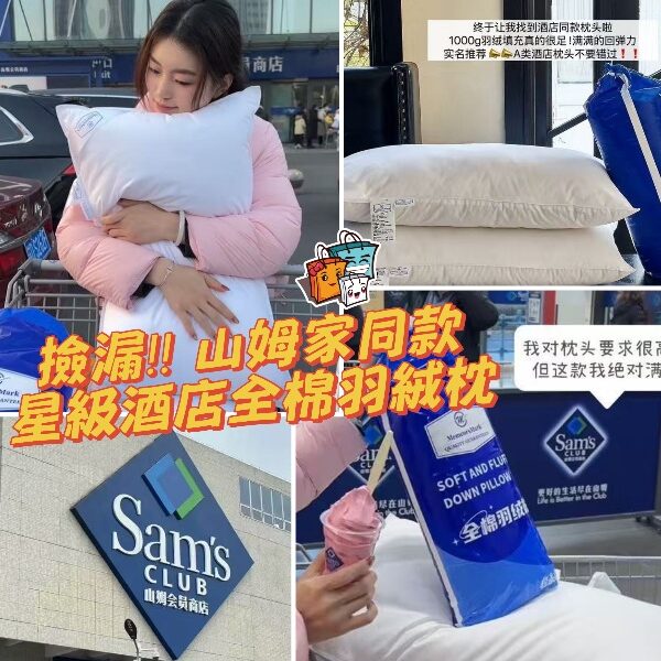 山姆家同款星級酒店全棉羽絨枕