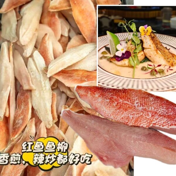 大西洋野生紅鱸魚柳