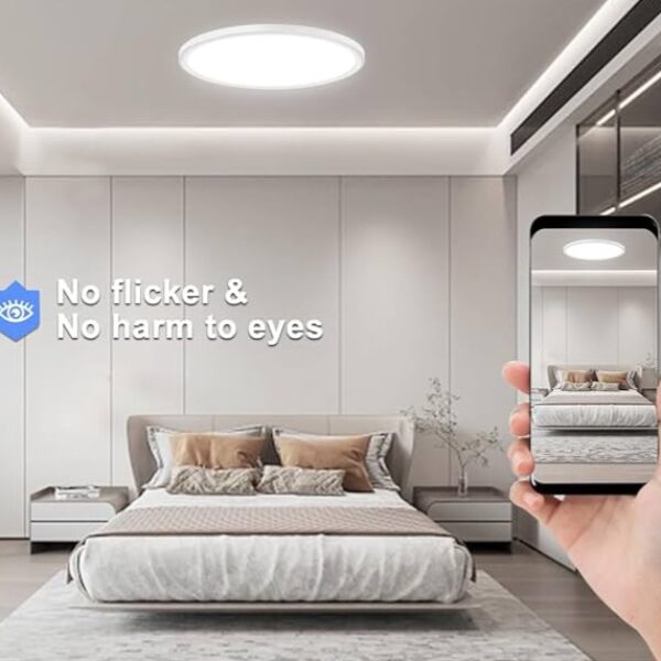 【LIBTIT】3燈色12英寸超薄吸頂燈