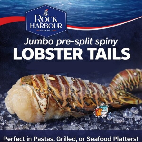 【ROCK HARBOUR】Jumbo澳洲龍蝦尾(預開邊)