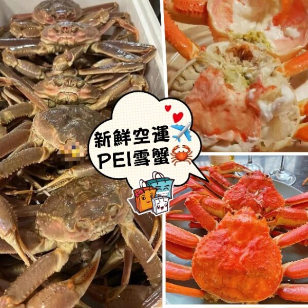 新鮮空運PEI雪蟹