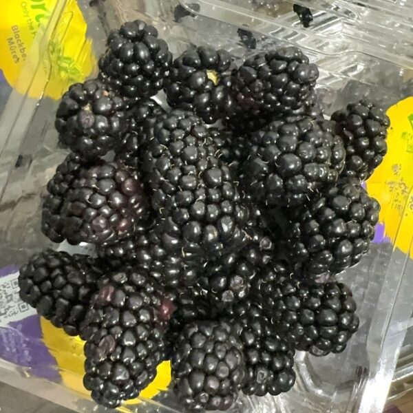 【特價】新鮮黑莓