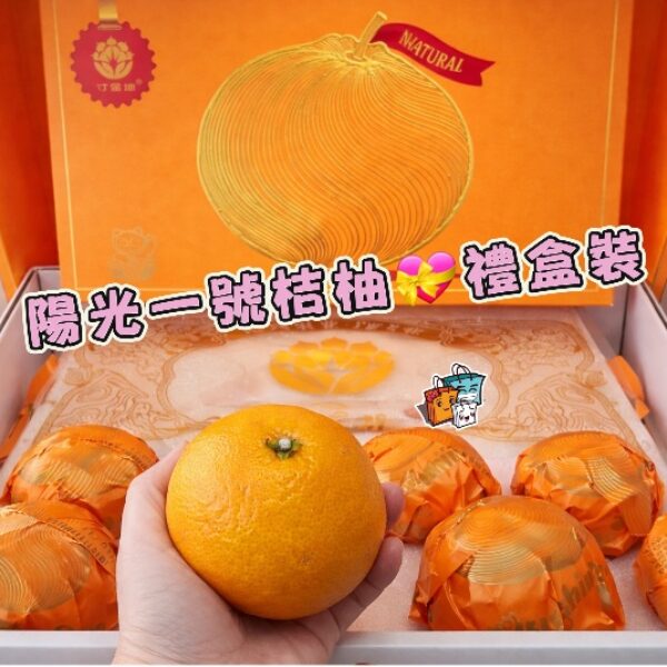 陽光一號桔柚禮盒裝