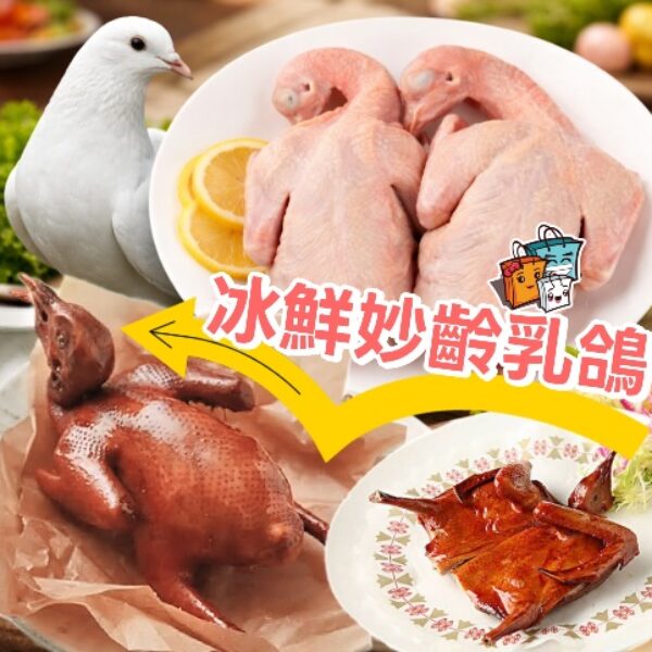 【限時特價】冰鮮妙齡乳鴿
