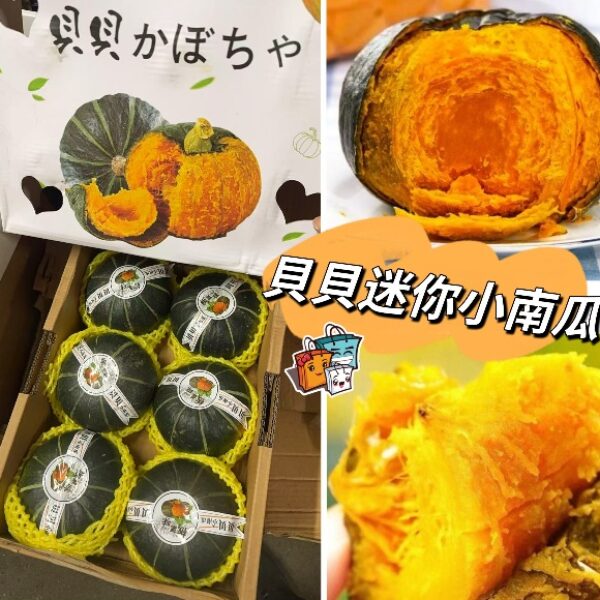 【本週特價】貝貝迷你小南瓜