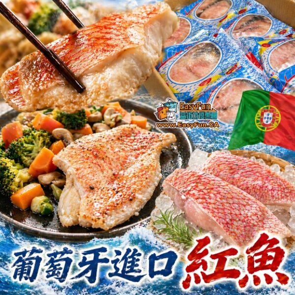 葡萄牙進口紅魚