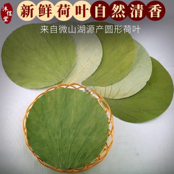 乾荷葉片