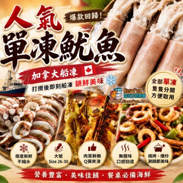 人氣單凍魷魚