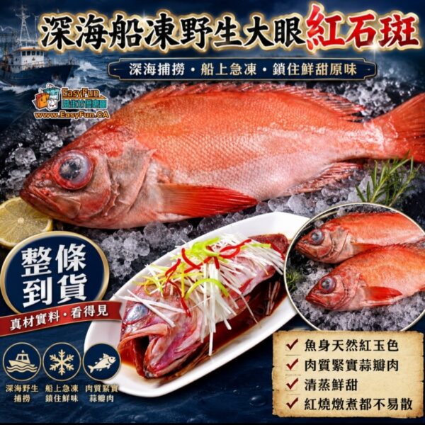 深海船凍野生大眼紅石斑