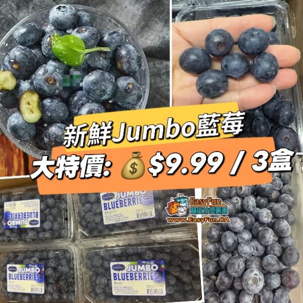 【大特價】新鮮Jumbo藍莓