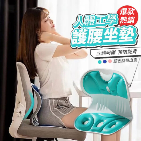 【特價】人體工學護腰座椅墊