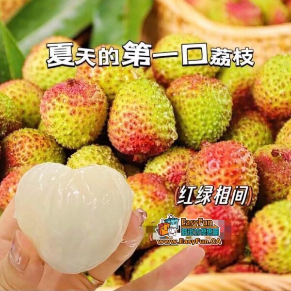 空運越南妃子笑荔枝