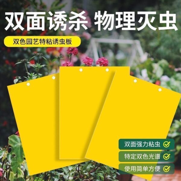 【買1包送1包】超大號粘蟲板