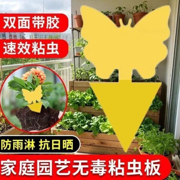 黃色小型粘蟲板