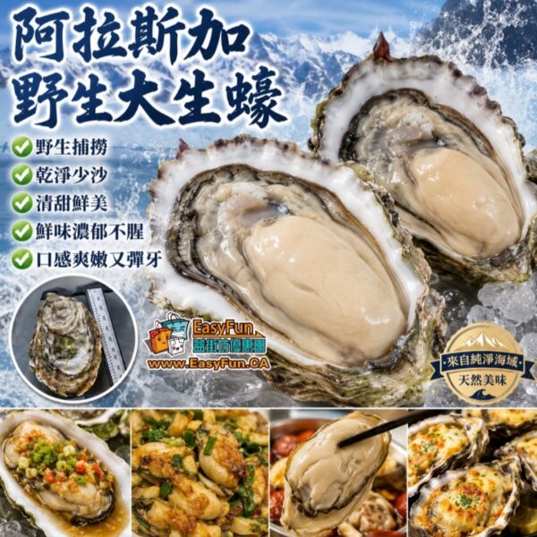【只限提早預訂】阿拉斯加大號野生大生蠔